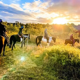 Sunset Horse Ride, 90 Minutes