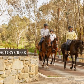 Vineyard Horse Ride and Romantic Picnic