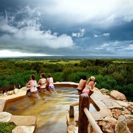 Dolphins, Seals and Hot Springs Day Out
