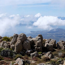 Gourmet Tasting and Sightsee Day Trip from Hobart