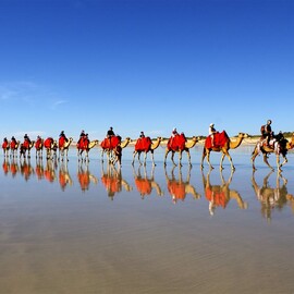 Cable Beach Camel Sampler Ride