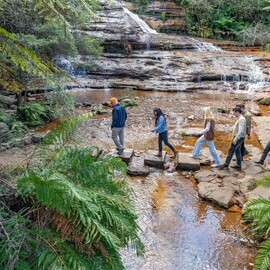 Blue Mountains Sunset Tour from Sydney