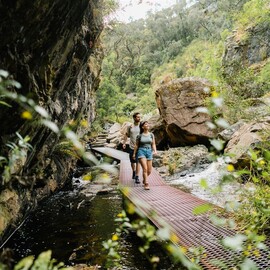 Grampians National Park Wildlife Tour