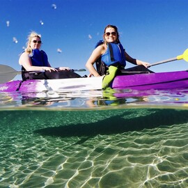 Broadwater Dolphin Kayak Tour, 2 Hours