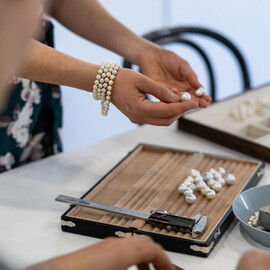 Farm to Plate, Oyster Tasting