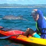 Sea Kayak and Dolphin Tour, Byron Bay Marine Park Sea Kayak and Dolphin Tour, Byron Bay Marine Park