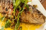 Seafood BBQ Cooking Class