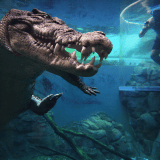 Crocodile Cage of Death Encounter Crocodile Cage of Death Encounter