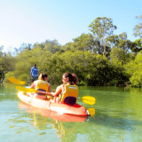 Sea Kayak and Dolphin Tour, Byron Bay Marine Park Sea Kayak and Dolphin Tour, Byron Bay Marine Park