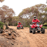 All Terrain Quad Adventure All Terrain Quad Adventure