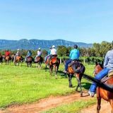 Vineyard Trail Ride