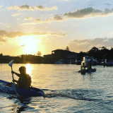 Dolphin and Stradbroke Island Kayak Tour