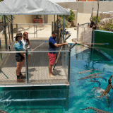 Exclusive Crocodile VIP Feeding Adventure Exclusive Crocodile VIP Feeding Adventure