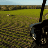 Helicopter and Wine Extravaganza at Pindarie Wines Helicopter and Wine Extravaganza at Pindarie Wines