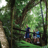 Daintree Crocodile Cruise and Discovery Tour Daintree Crocodile Cruise and Discovery Tour