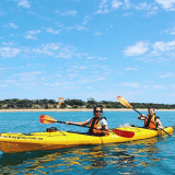 Dolphin Sanctuary Sea Kayak Tour Dolphin Sanctuary Sea Kayak Tour