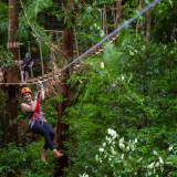Zipline Canopy Tour Zipline Canopy Tour