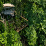 Zipline Canopy Tour