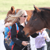 Half Day Racehorse Tour Half Day Racehorse Tour