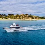Wildlife Adventure Cruise from Sorrento Wildlife Adventure Cruise from Sorrento