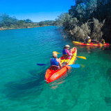 Kayaking, Brunswick River Nature Tour Kayaking, Brunswick River Nature Tour
