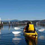 Canberra to Coast Kayak Tour with Oyster Tasting Canberra to Coast Kayak Tour with Oyster Tasting