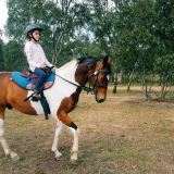 Riding Lesson at Woodlands Lodge Riding Lesson at Woodlands Lodge