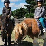 Besties Pony Ride, 30 Minutes Besties Pony Ride, 30 Minutes