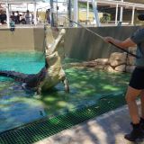 Crocosaurus Cove, Family Entry Crocosaurus Cove, Family Entry