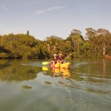 Sunset Kayaking, Brunswick River Nature Tour
