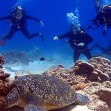 Open Water Scuba Diver Course Open Water Scuba Diver Course