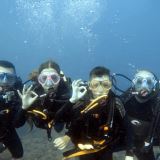 Introductory Dive, Sunshine Coast Reefs Introductory Dive, Sunshine Coast Reefs