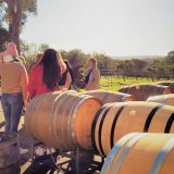 Margaret River Wine, Artisan, Forest Half-Day Margaret River Wine, Artisan, Forest Half-Day