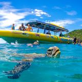 Whitsunday Islands High Speed Boat and Snorkel Whitsunday Islands High Speed Boat and Snorkel