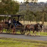 Exclusive Horse and Carriage Wine Tour for 4