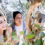 Ultimate Blue Mountains Tour