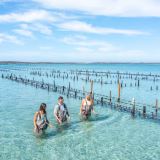 Oyster Farm and Bay Tour with Wading Oyster Farm and Bay Tour with Wading