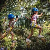Junior Tree Ropes Course