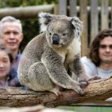 Two Bays Scenic and Wildlife Bus Tour Two Bays Scenic and Wildlife Bus Tour