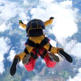 Noosa 13000 ft Midweek Tandem Skydive Noosa 13000 ft Midweek Tandem Skydive