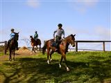 Horse Trail Ride and Tasting at Petaluma Horse Trail Ride and Tasting at Petaluma