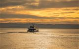 Phillip Island Sunset Cruise Phillip Island Sunset Cruise