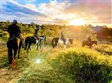 Sunset Horse Ride, 90 Minutes