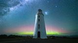 Bruny Island Day Tour And Local Tastings