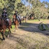 1-hour Family Horse Riding Tour 1-hour Family Horse Riding Tour