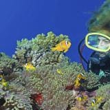 Introduction to Scuba Diving, Gold Coast