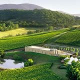 Private Winery Tour with Lunch for Up to 7 Private Winery Tour with Lunch for Up to 7