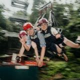 Giant Jungle Swing Giant Jungle Swing