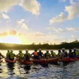 Sea Kayak and Dolphin Tour, Byron Bay Marine Park Sea Kayak and Dolphin Tour, Byron Bay Marine Park