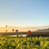 Hunter Valley Hot Air Balloon Flight Hunter Valley Hot Air Balloon Flight